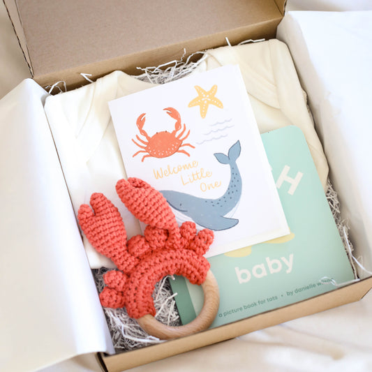 Little Crab Baby Gift Set