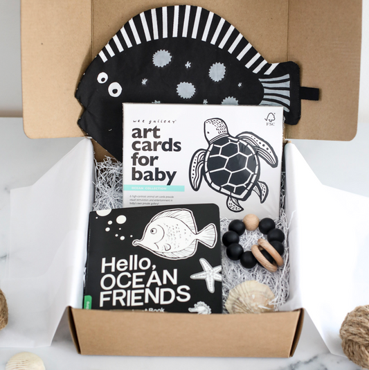 Black + White Ocean Baby Gift Box